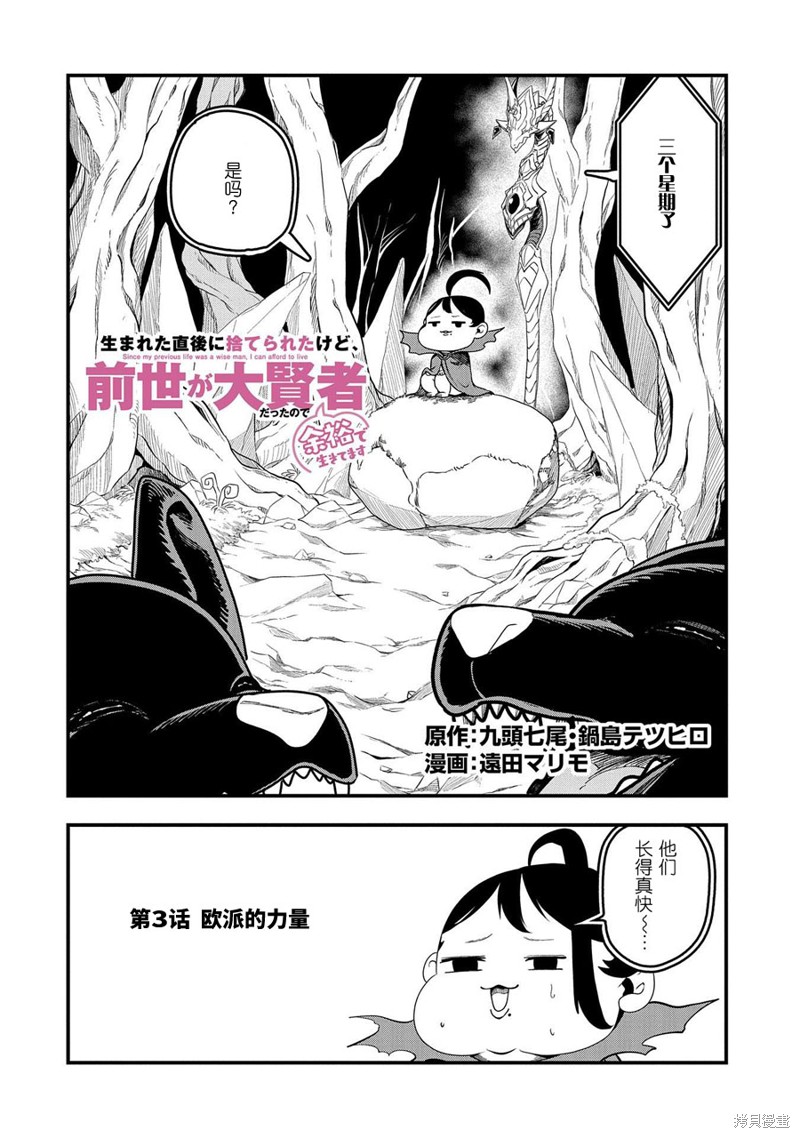 虽然刚出生就被抛弃了，可毕竟前世是大贤者，就淡定地活下去吧第03话在线观看 - 第2张