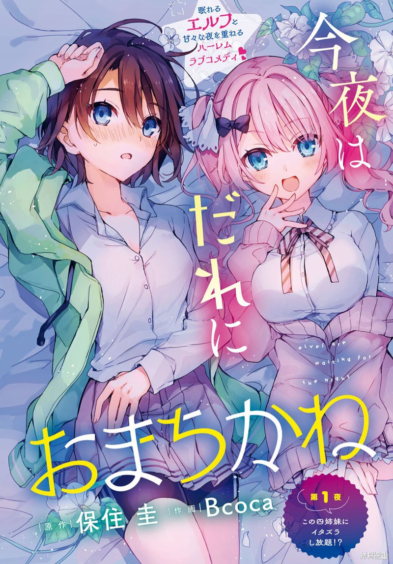 精灵四姐妹夜夜待笙歌第01话在线观看 - 第2张