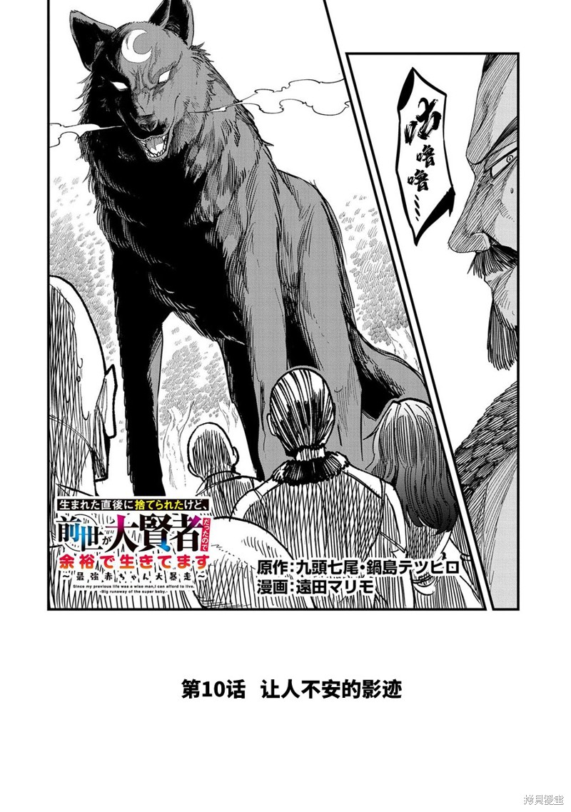 虽然刚出生就被抛弃了，可毕竟前世是大贤者，就淡定地活下去吧第10话在线观看 - 第2张