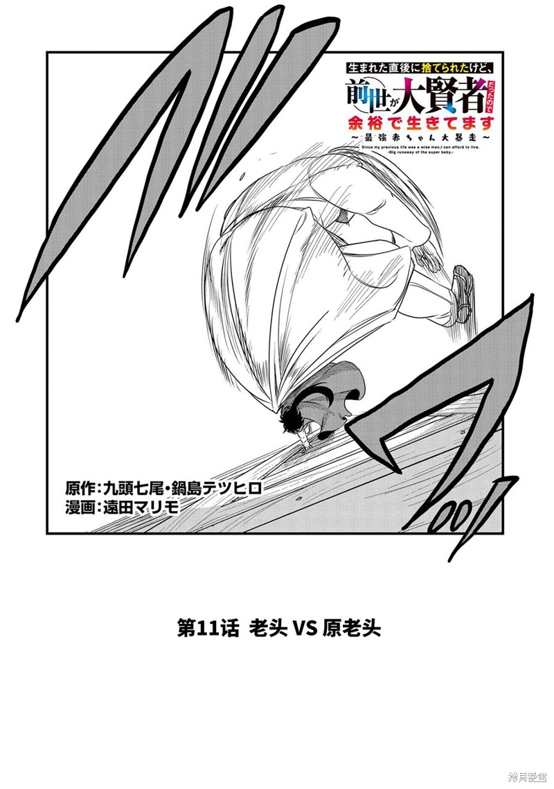 虽然刚出生就被抛弃了，可毕竟前世是大贤者，就淡定地活下去吧第11话在线观看 - 第2张