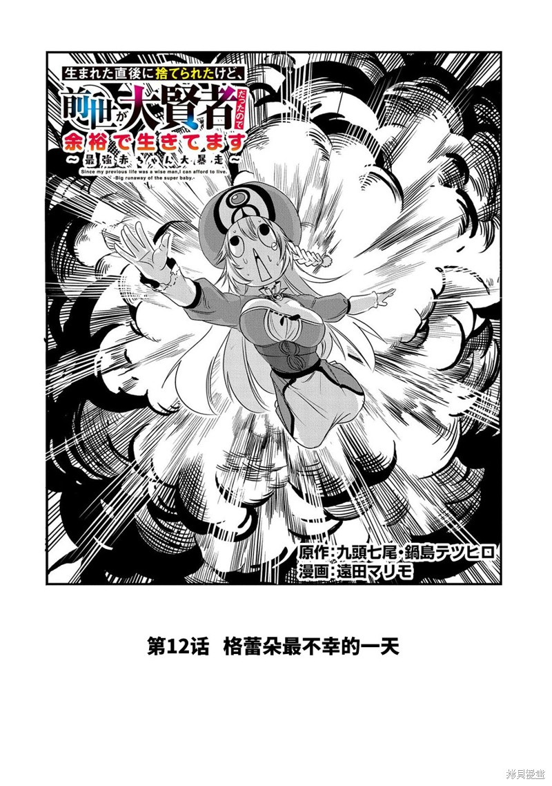 虽然刚出生就被抛弃了，可毕竟前世是大贤者，就淡定地活下去吧第12话在线观看 - 第2张