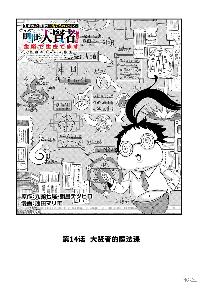 虽然刚出生就被抛弃了，可毕竟前世是大贤者，就淡定地活下去吧第14话在线观看 - 第2张