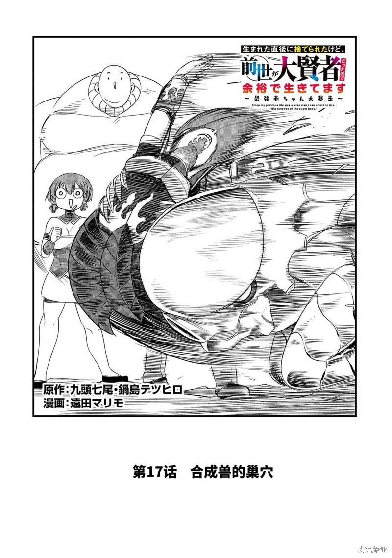 虽然刚出生就被抛弃了，可毕竟前世是大贤者，就淡定地活下去吧第17话在线观看 - 第2张