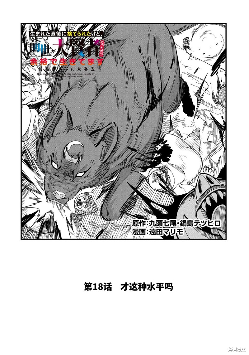 虽然刚出生就被抛弃了，可毕竟前世是大贤者，就淡定地活下去吧第18话在线观看 - 第2张