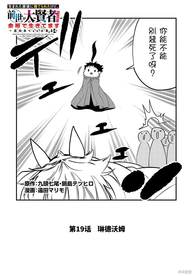 虽然刚出生就被抛弃了，可毕竟前世是大贤者，就淡定地活下去吧第19话在线观看 - 第2张