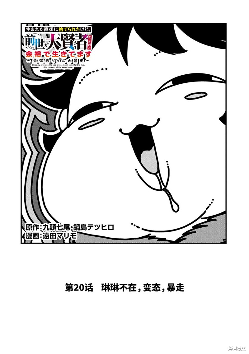 虽然刚出生就被抛弃了，可毕竟前世是大贤者，就淡定地活下去吧第20话在线观看 - 第2张