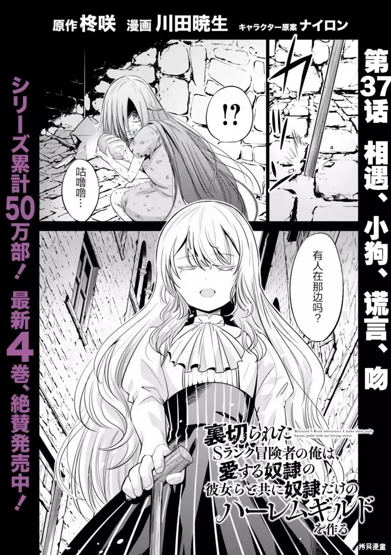 作为被背叛了的S级冒险者的我、决定成立一个只有我所爱的奴隶女孩子们的后宫公会第37话在线观看 - 第3张