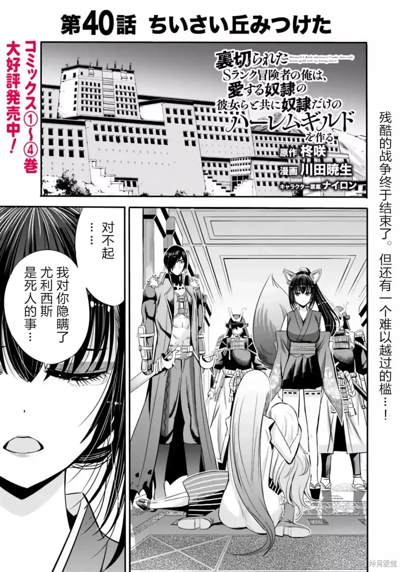 作为被背叛了的S级冒险者的我、决定成立一个只有我所爱的奴隶女孩子们的后宫公会第40话在线观看 - 第1张