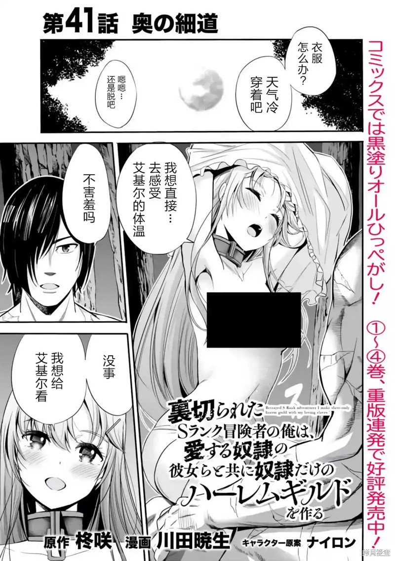 作为被背叛了的S级冒险者的我、决定成立一个只有我所爱的奴隶女孩子们的后宫公会第41话在线观看 - 第1张