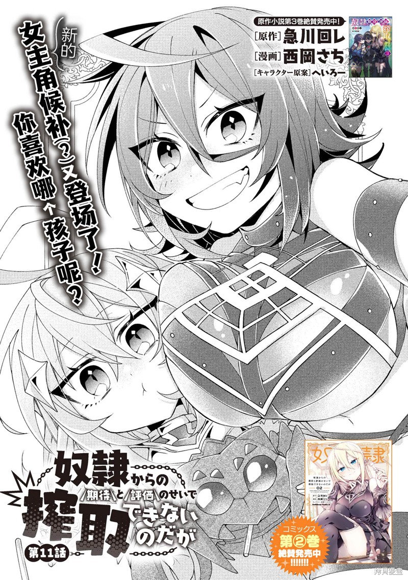 虽然由于关系到奴隶对我的评价而导致我不能压榨她们第11话在线观看 - 第2张