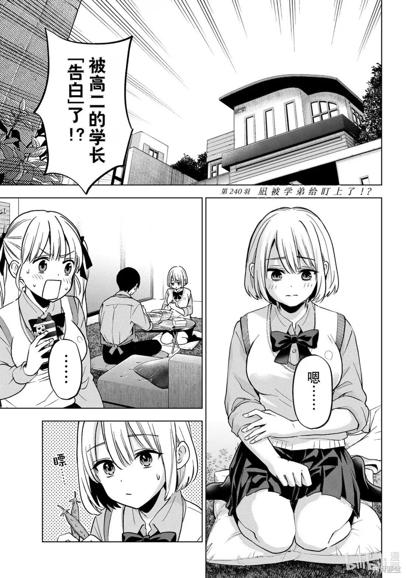 杜鹃的婚约第240话在线观看 - 第1张
