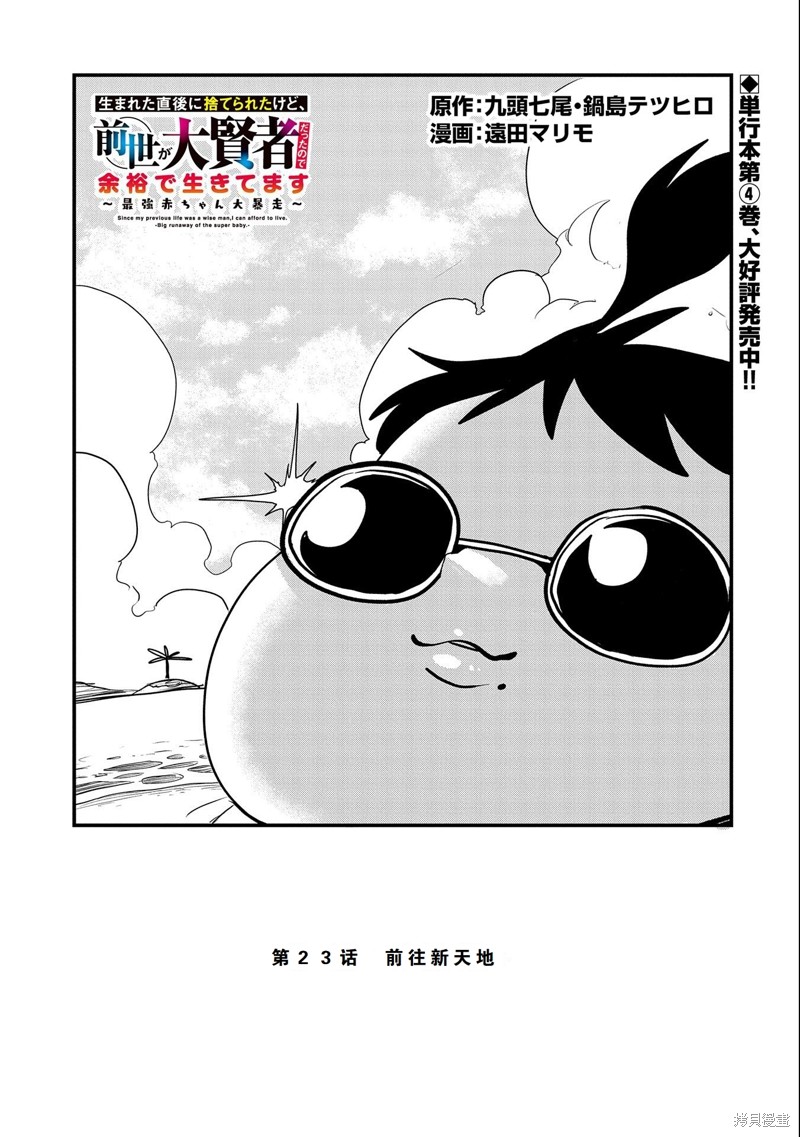 虽然刚出生就被抛弃了，可毕竟前世是大贤者，就淡定地活下去吧23话试看在线观看 - 第1张