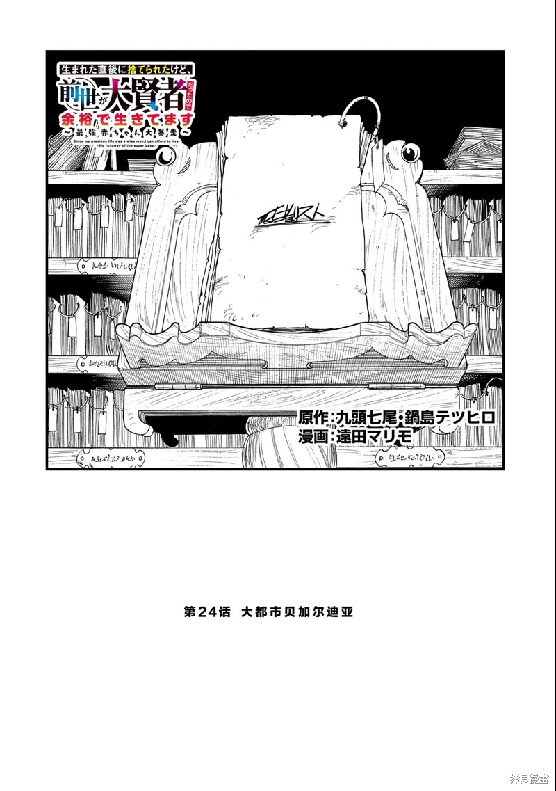 虽然刚出生就被抛弃了，可毕竟前世是大贤者，就淡定地活下去吧24话试看在线观看 - 第2张