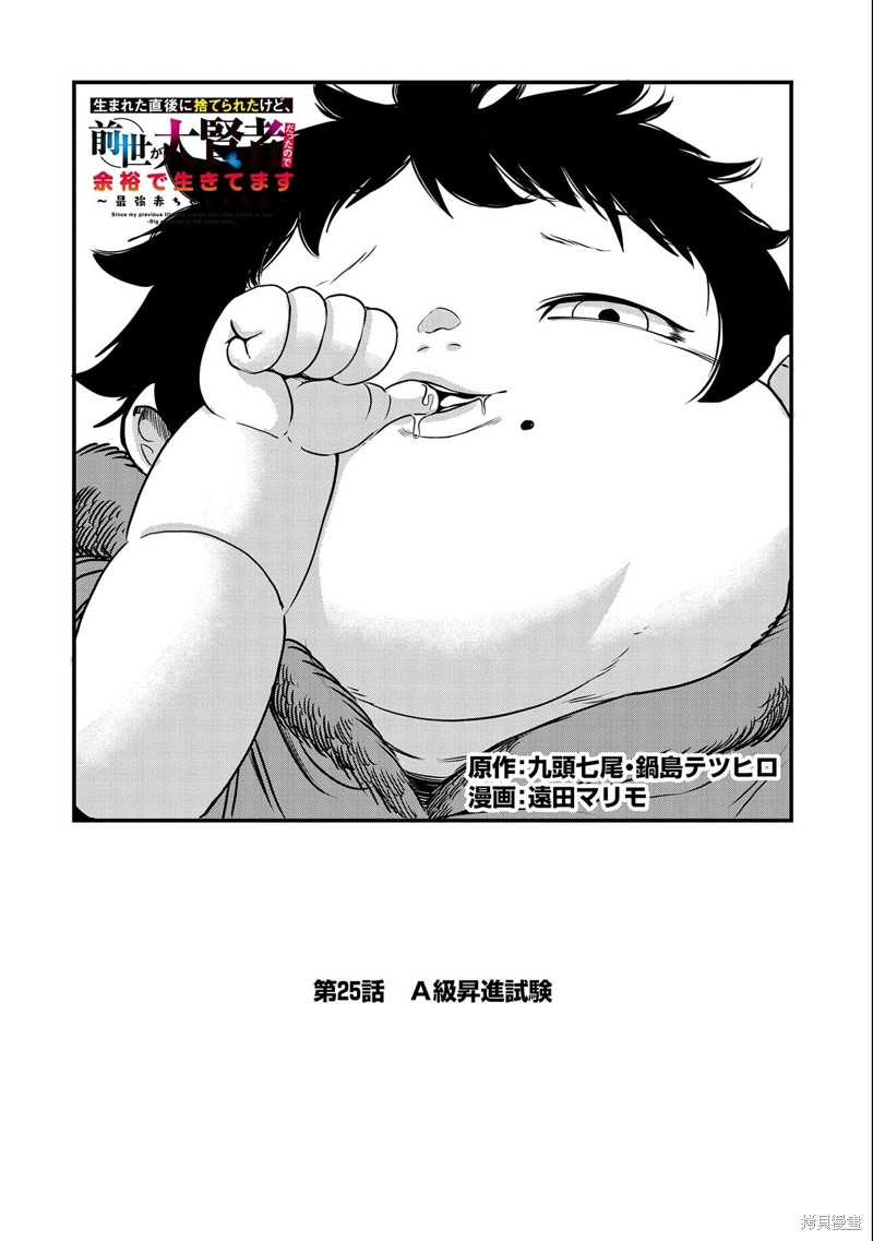 虽然刚出生就被抛弃了，可毕竟前世是大贤者，就淡定地活下去吧25话试看在线观看 - 第2张