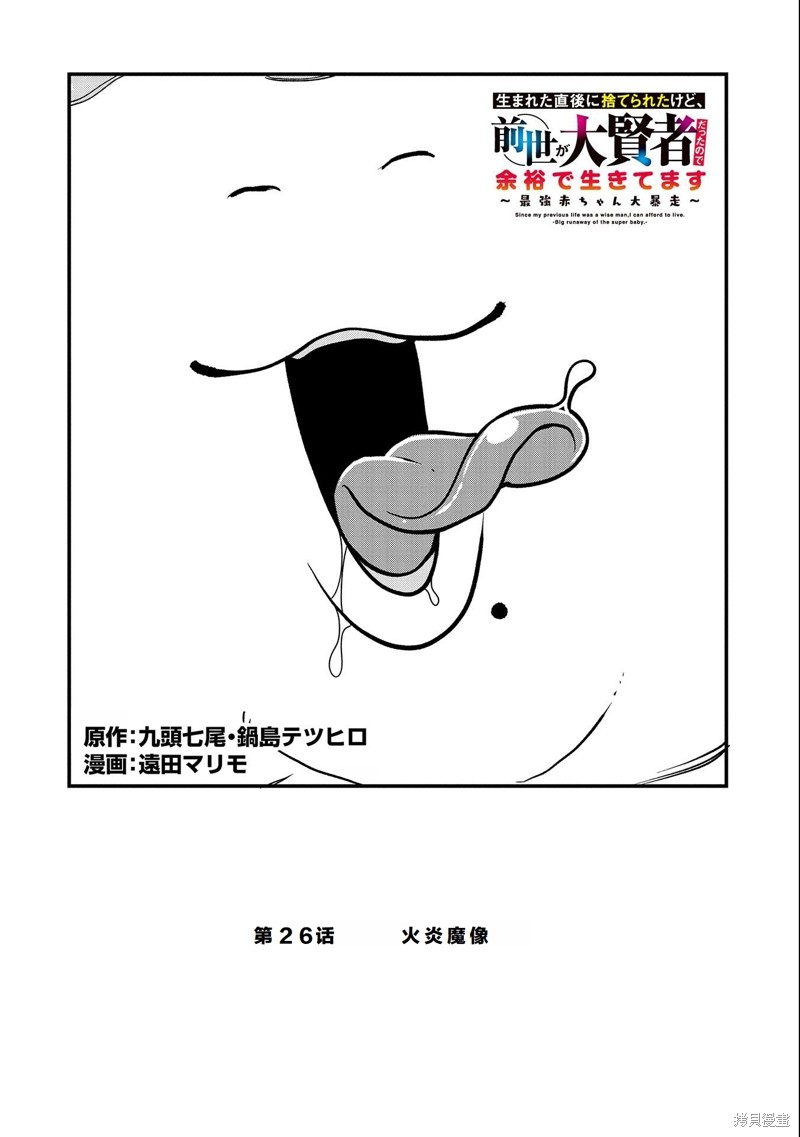 虽然刚出生就被抛弃了，可毕竟前世是大贤者，就淡定地活下去吧26话试看在线观看 - 第2张