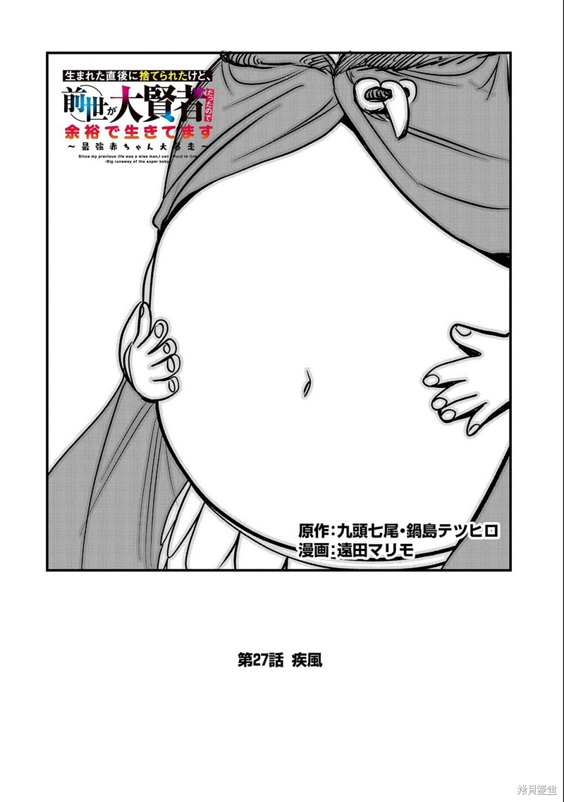 虽然刚出生就被抛弃了，可毕竟前世是大贤者，就淡定地活下去吧27话试看在线观看 - 第2张