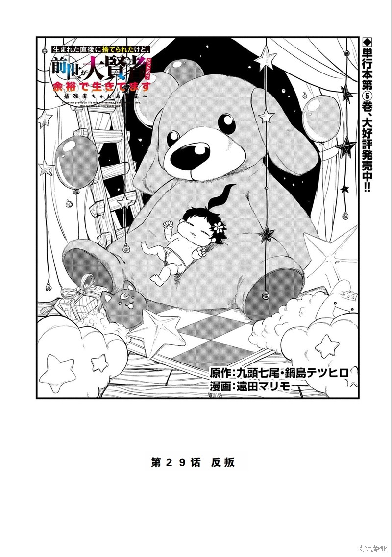 虽然刚出生就被抛弃了，可毕竟前世是大贤者，就淡定地活下去吧29话试看在线观看 - 第1张