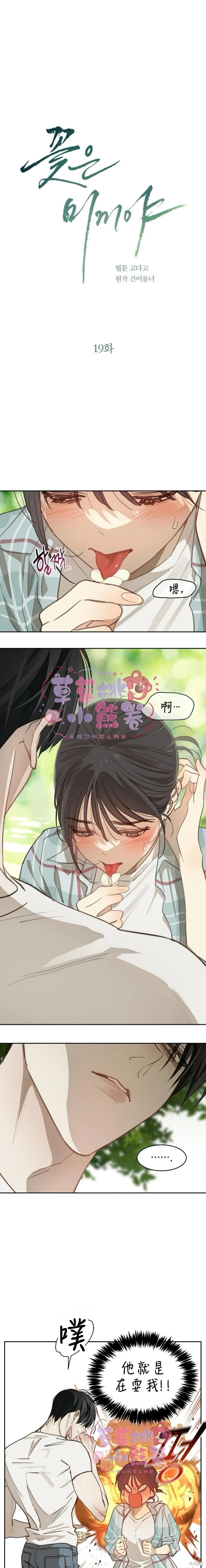 诱饵之花第19话在线观看 - 第1张