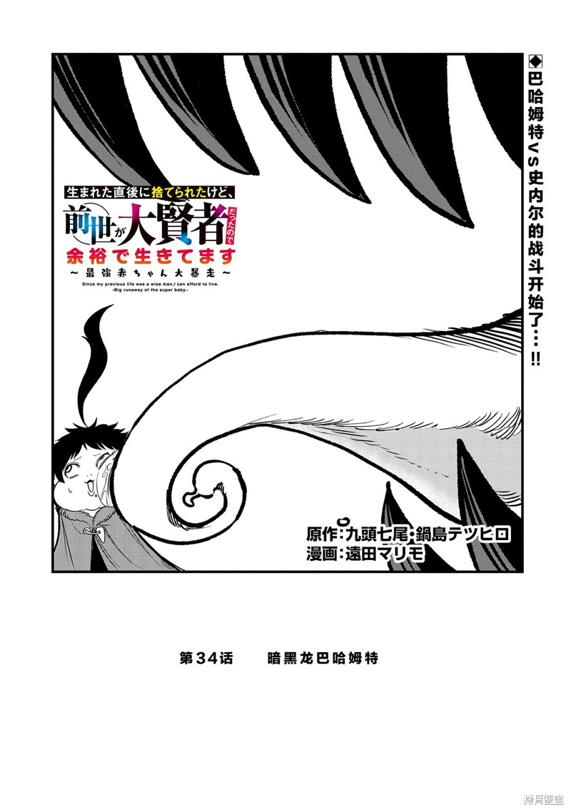 虽然刚出生就被抛弃了，可毕竟前世是大贤者，就淡定地活下去吧34话试看在线观看 - 第1张