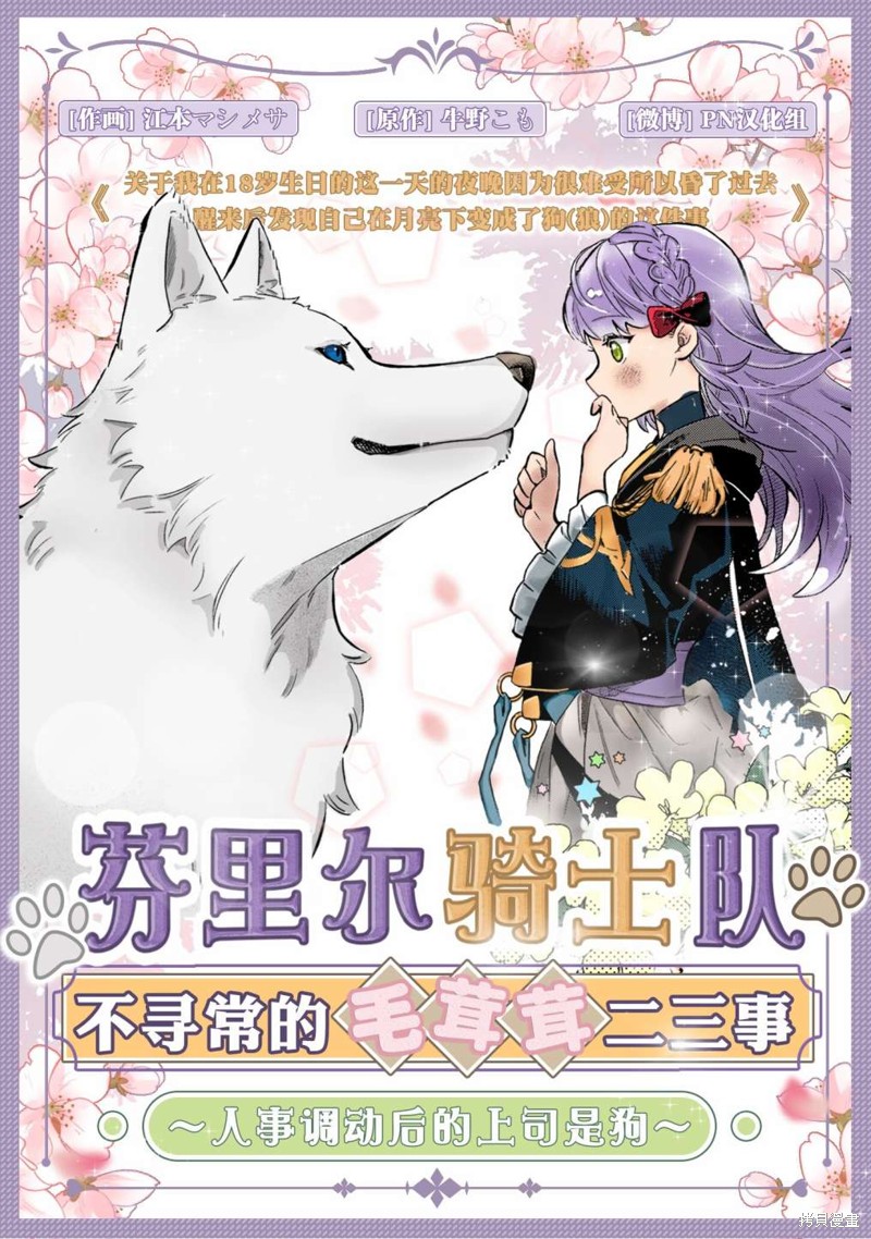 A and D第50.5话在线观看 - 第13张