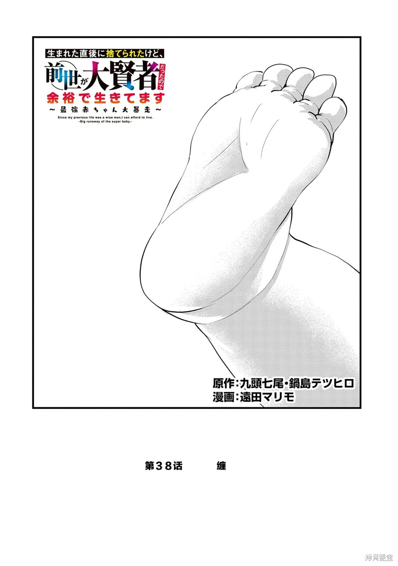 虽然刚出生就被抛弃了，可毕竟前世是大贤者，就淡定地活下去吧38话试看在线观看 - 第2张