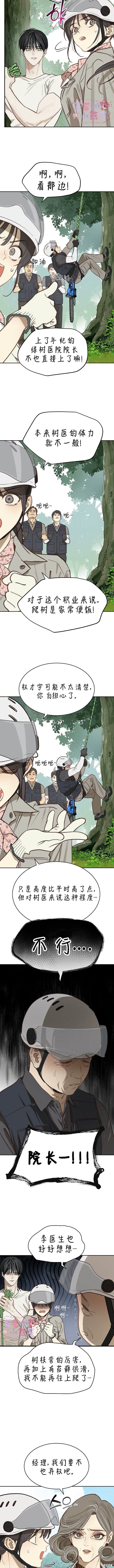 诱饵之花第21话在线观看 - 第3张