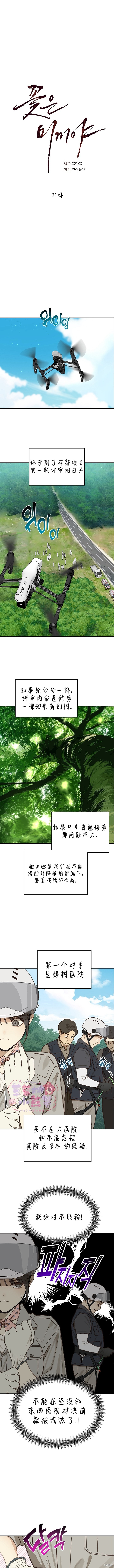 诱饵之花第21话在线观看 - 第1张