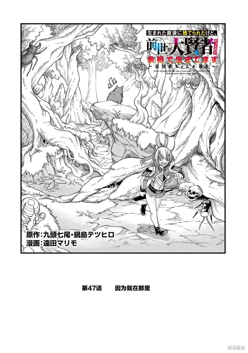 虽然刚出生就被抛弃了，可毕竟前世是大贤者，就淡定地活下去吧47话试看在线观看 - 第2张