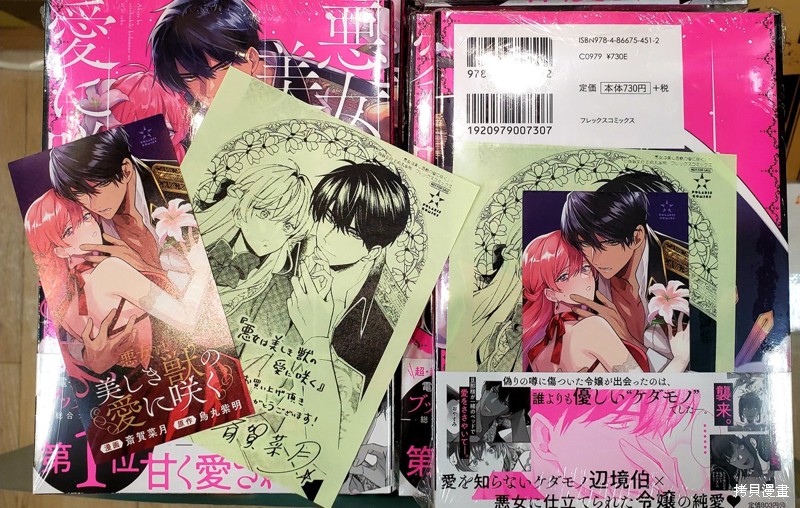 恶女之花在美丽野兽的爱中绽放第01话在线观看 - 第45张