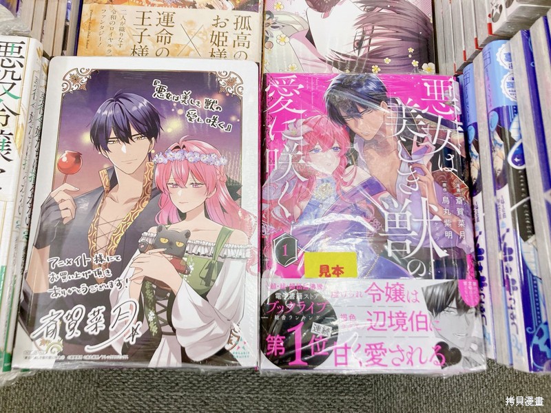 恶女之花在美丽野兽的爱中绽放第01话在线观看 - 第41张