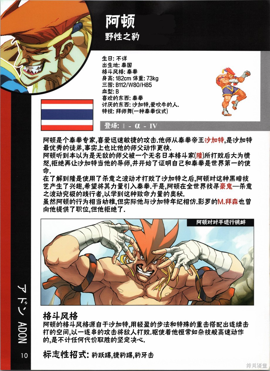 街头霸王 特刊合集人物谱1在线观看 - 第11张