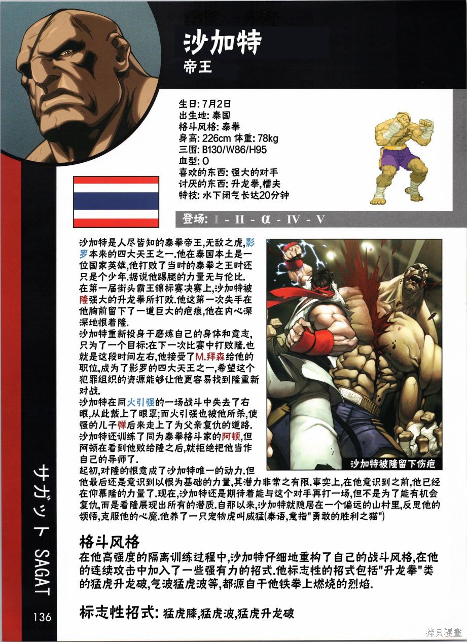 街头霸王 特刊合集人物谱5在线观看 - 第13张