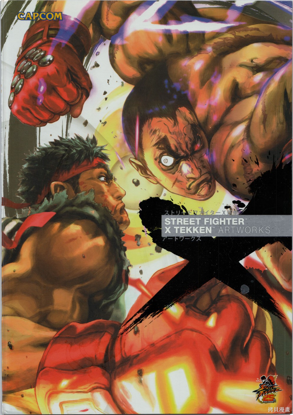 街头霸王 特刊合集铁拳1在线观看 - 第1张