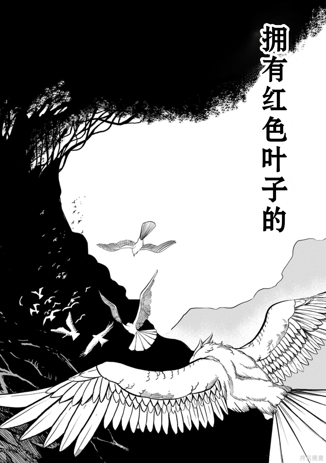 虽然刚出生就被抛弃了，可毕竟前世是大贤者，就淡定地活下去吧第58话机翻在线观看 - 第9张