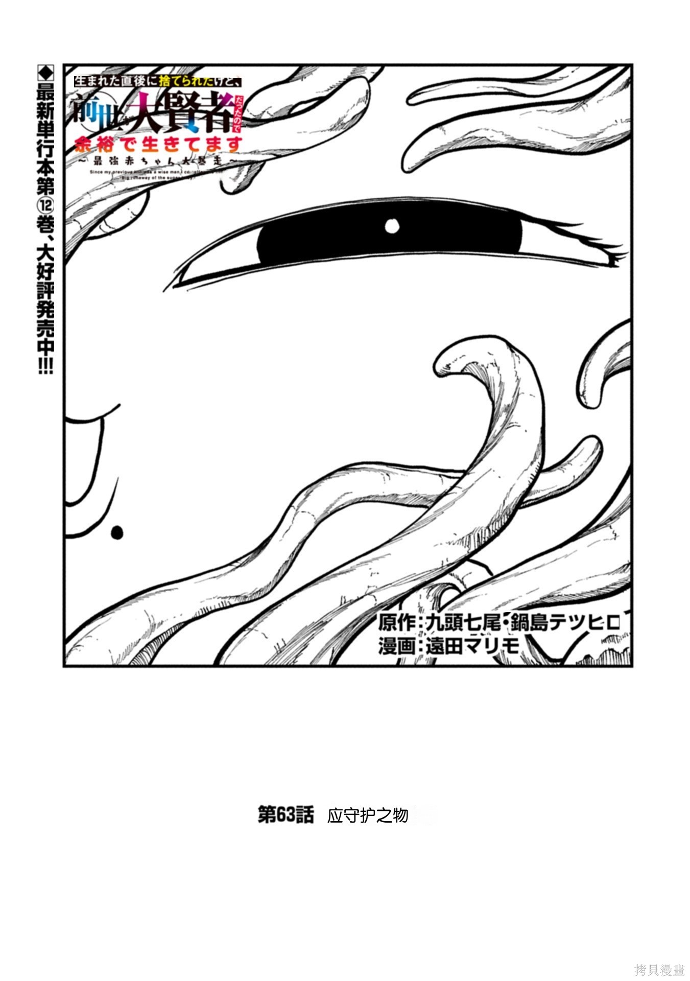 虽然刚出生就被抛弃了，可毕竟前世是大贤者，就淡定地活下去吧第63话机翻在线观看 - 第2张
