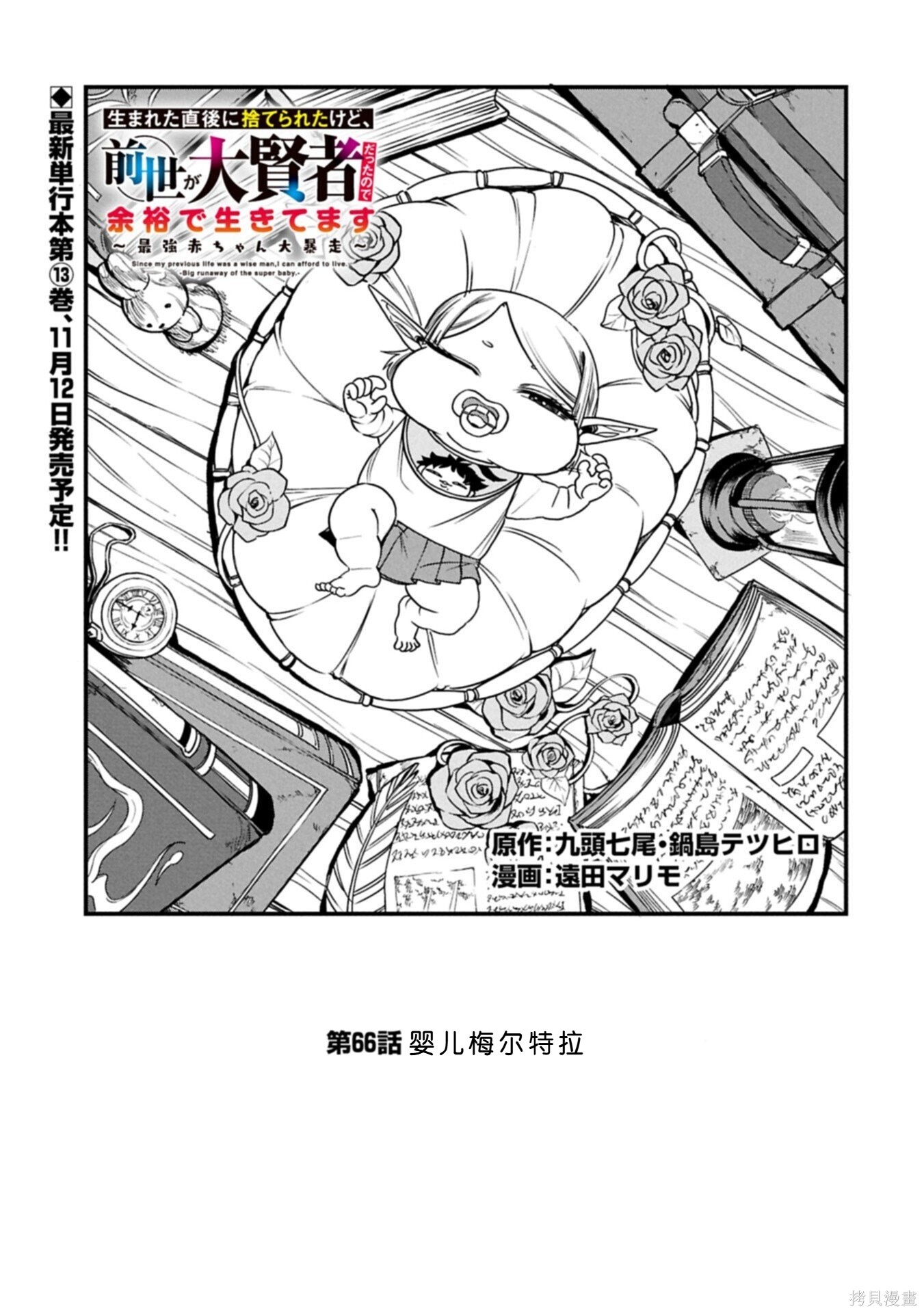 虽然刚出生就被抛弃了，可毕竟前世是大贤者，就淡定地活下去吧第66话机翻在线观看 - 第1张