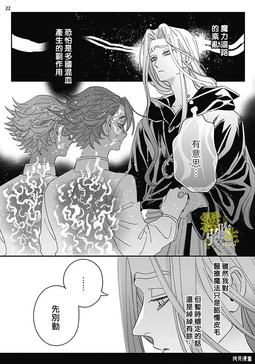 瑞境王国的宫廷法师祈系安宁之愿第01话在线观看 - 第23张