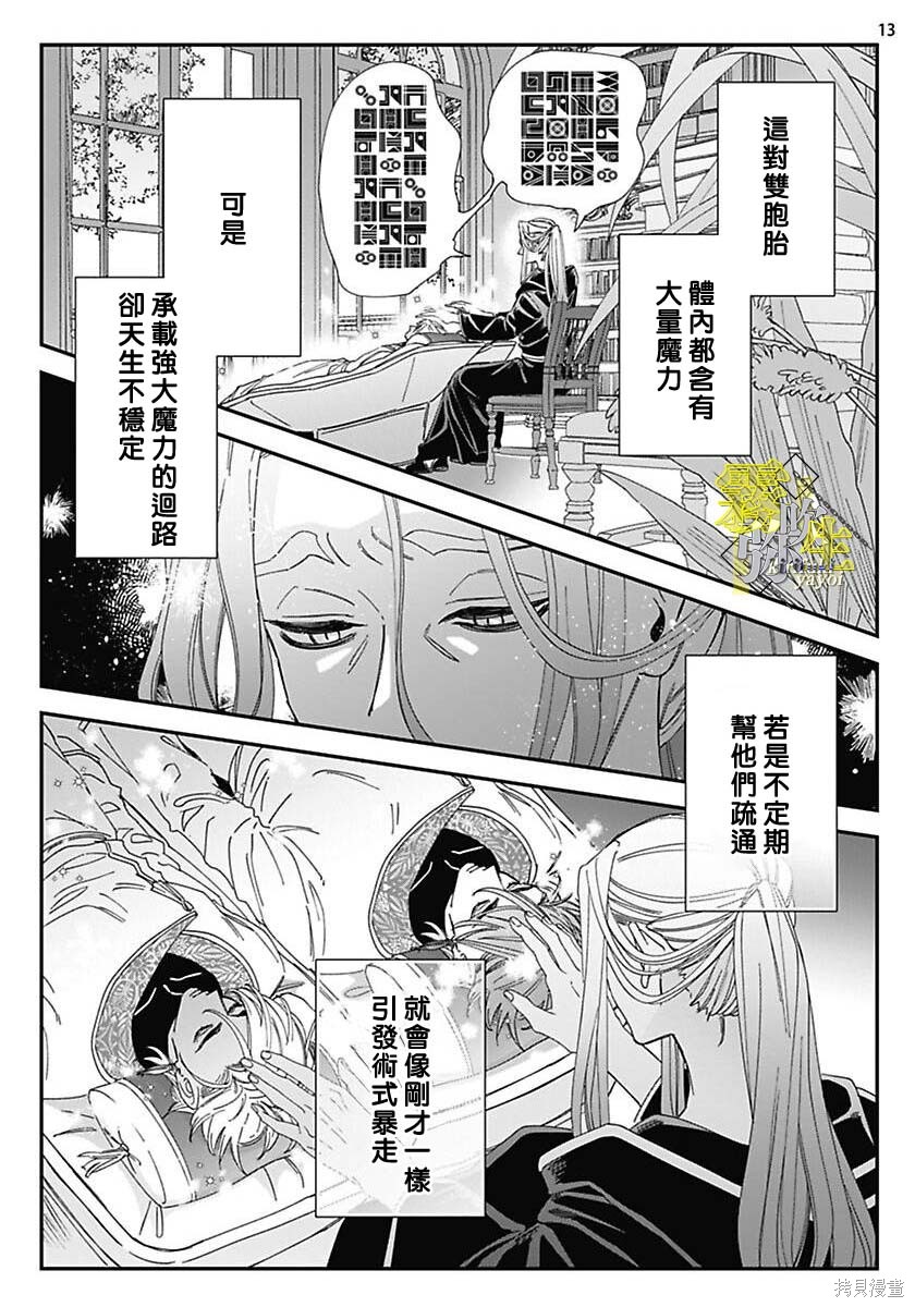 瑞境王国的宫廷法师祈系安宁之愿第01话在线观看 - 第14张