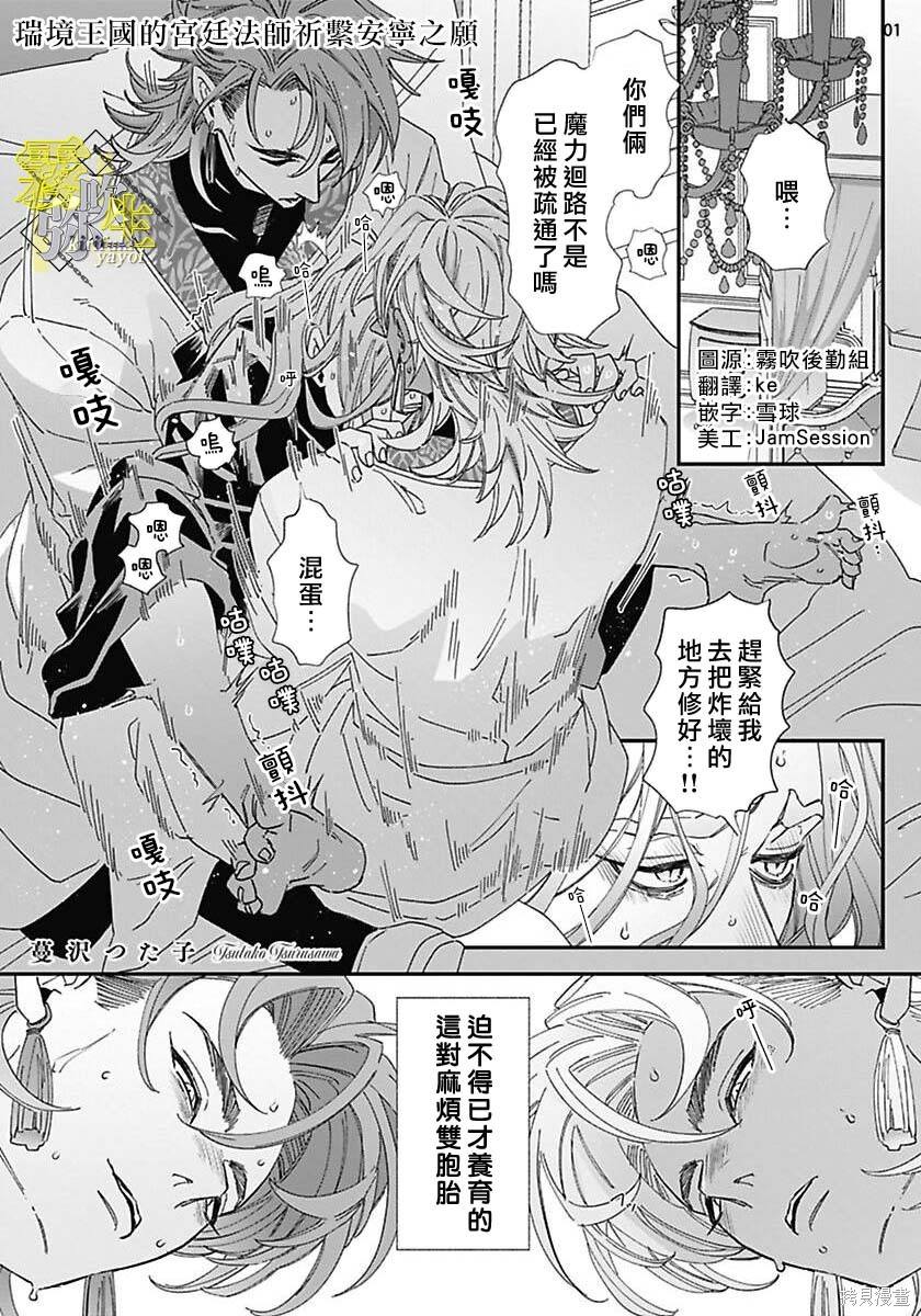 瑞境王国的宫廷法师祈系安宁之愿第01话在线观看 - 第2张