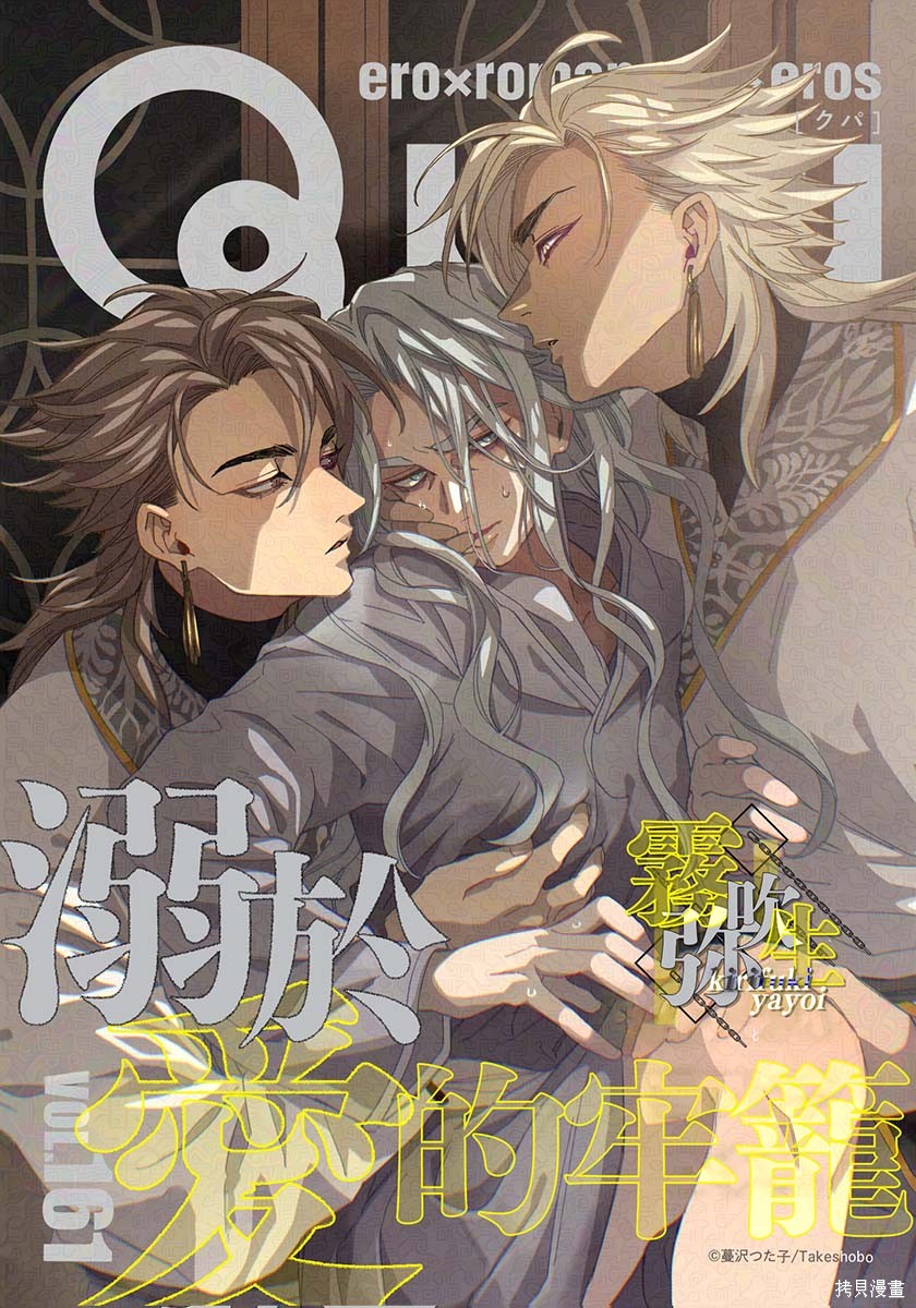 瑞境王国的宫廷法师祈系安宁之愿第01话在线观看 - 第1张