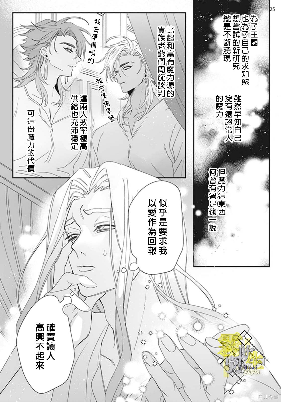 瑞境王国的宫廷法师祈系安宁之愿第02话在线观看 - 第25张