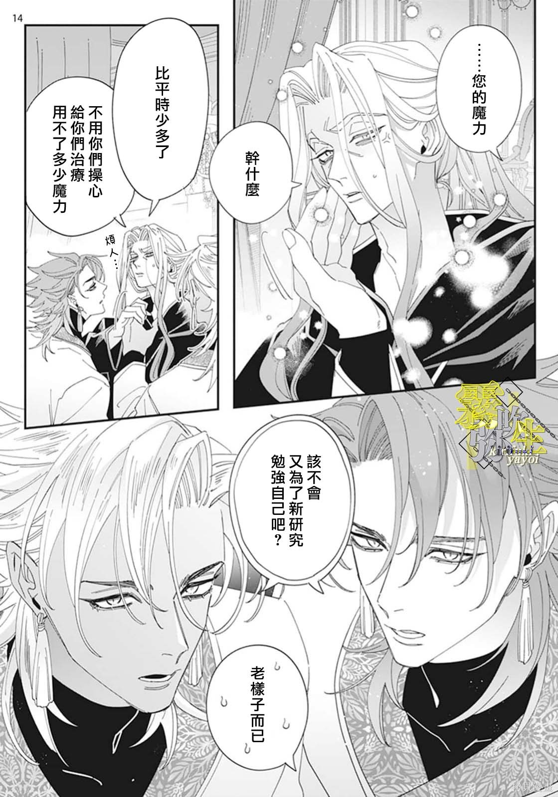 瑞境王国的宫廷法师祈系安宁之愿第02话在线观看 - 第14张
