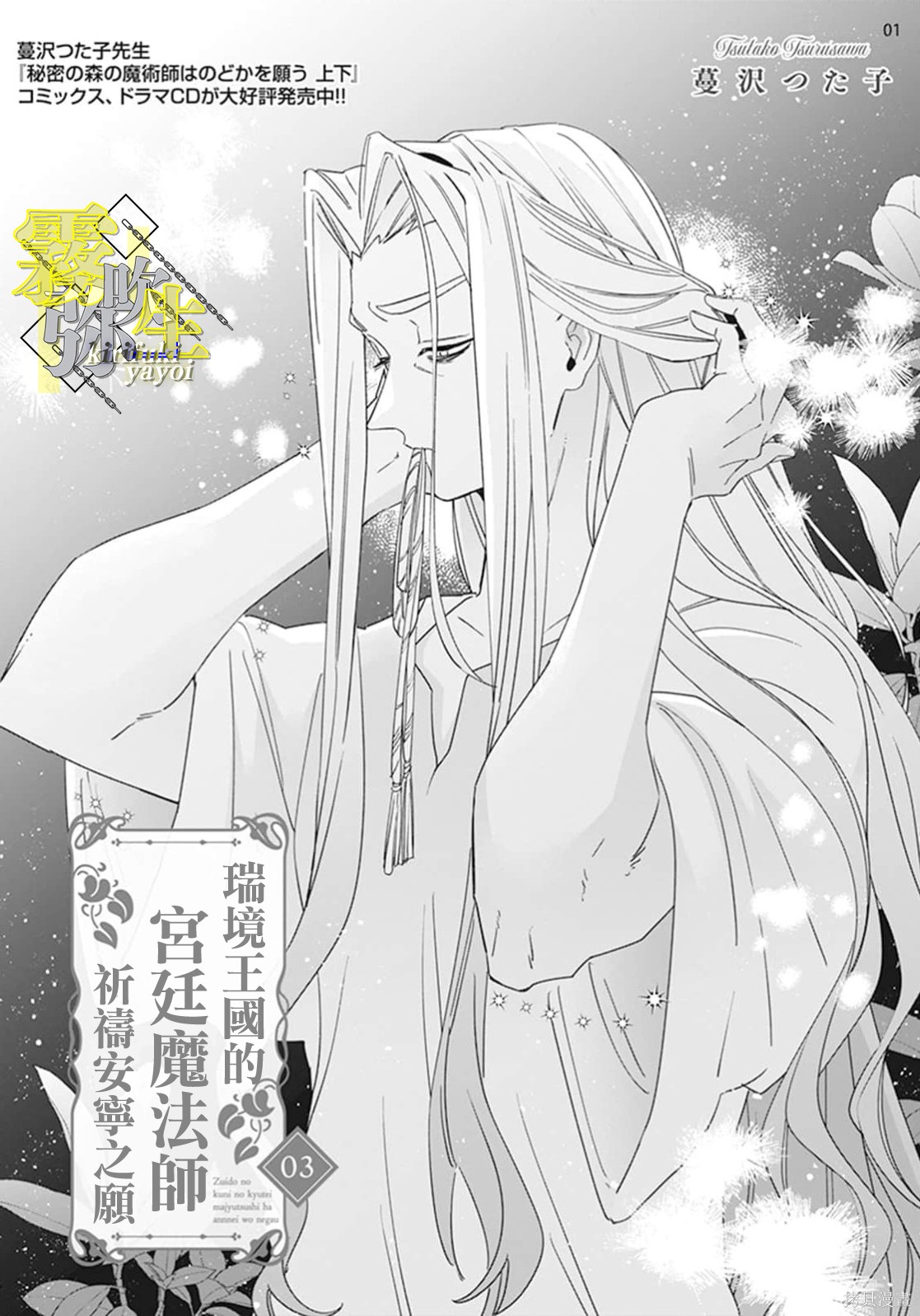 瑞境王国的宫廷法师祈系安宁之愿第03话在线观看 - 第1张