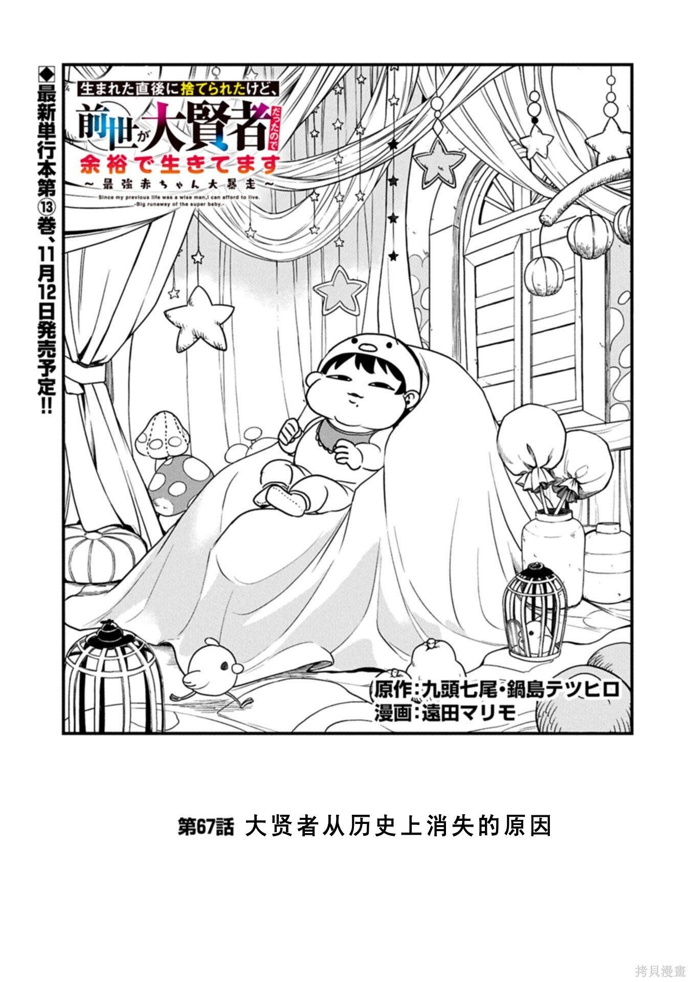 虽然刚出生就被抛弃了，可毕竟前世是大贤者，就淡定地活下去吧第67话机翻在线观看 - 第2张