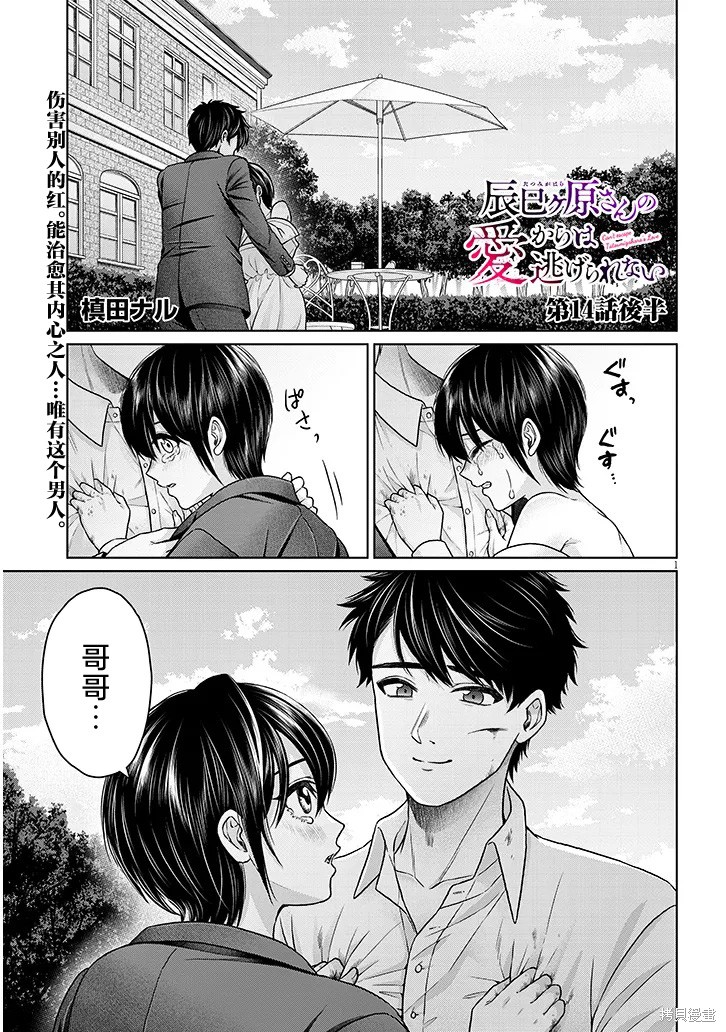 无法逃离辰巳原小姐的爱第14话在线观看 - 第15张