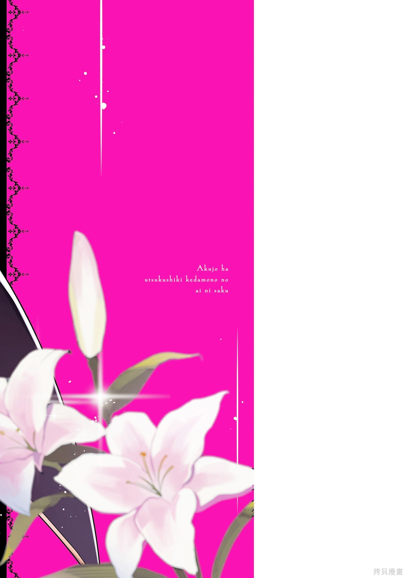 恶女之花在美丽野兽的爱中绽放第05话在线观看 - 第33张
