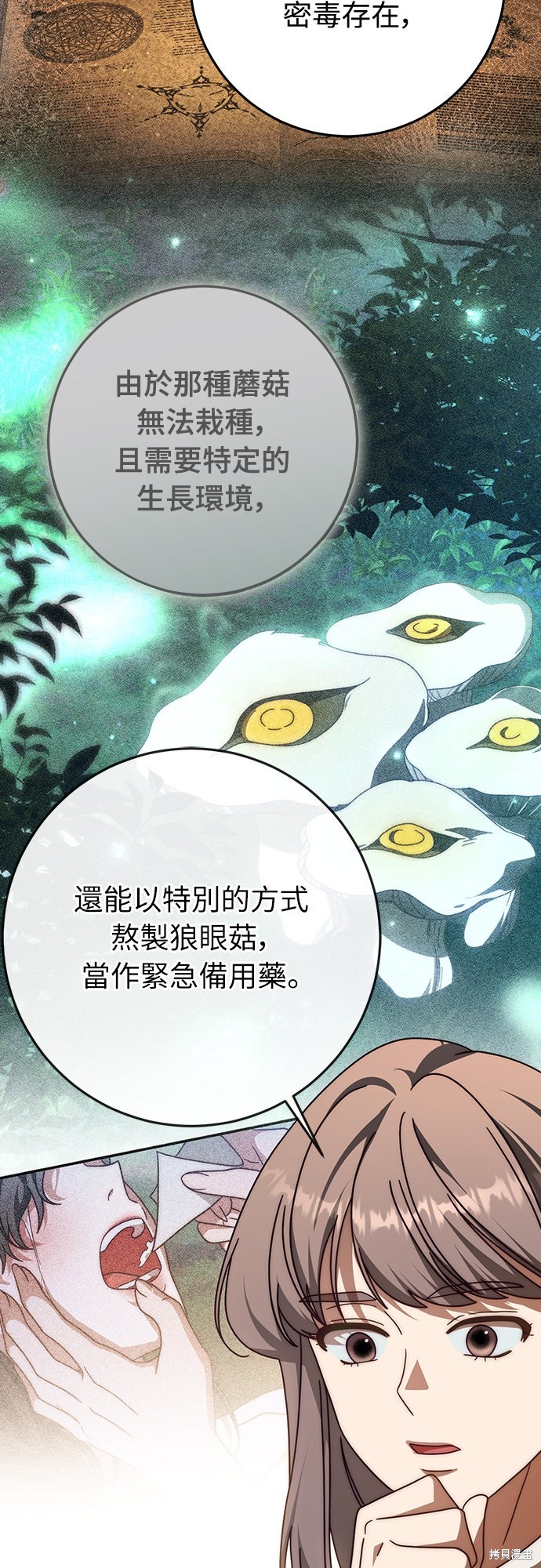 幸存王女的微笑之谜第84话在线观看 - 第53张