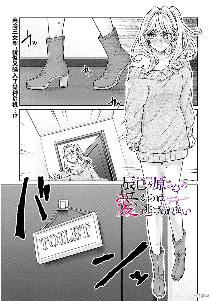 无法逃离辰巳原小姐的爱第15话在线观看 - 第1张
