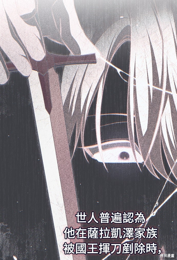 幸存王女的微笑之谜第85话在线观看 - 第14张