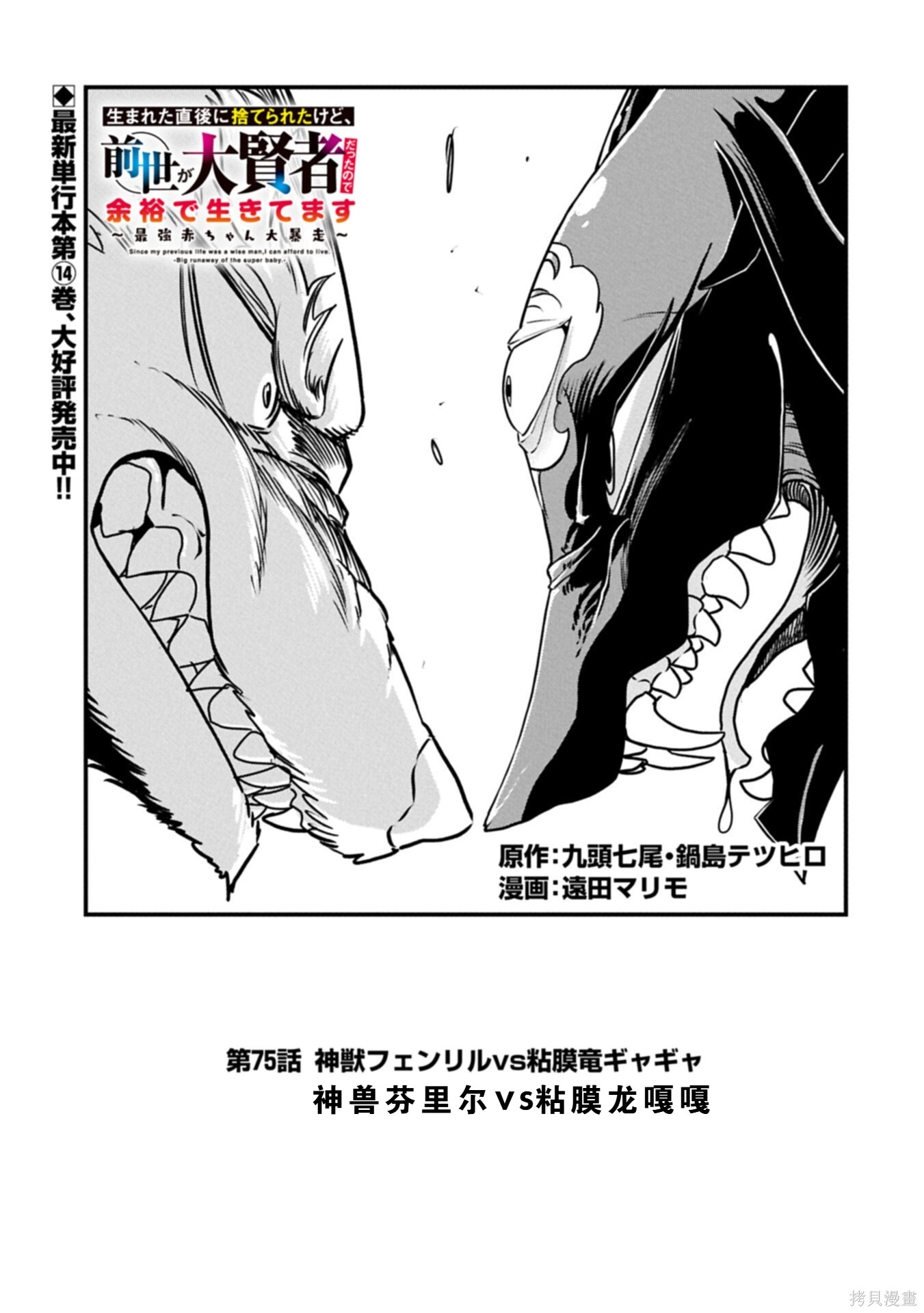 虽然刚出生就被抛弃了，可毕竟前世是大贤者，就淡定地活下去吧第75话在线观看 - 第1张